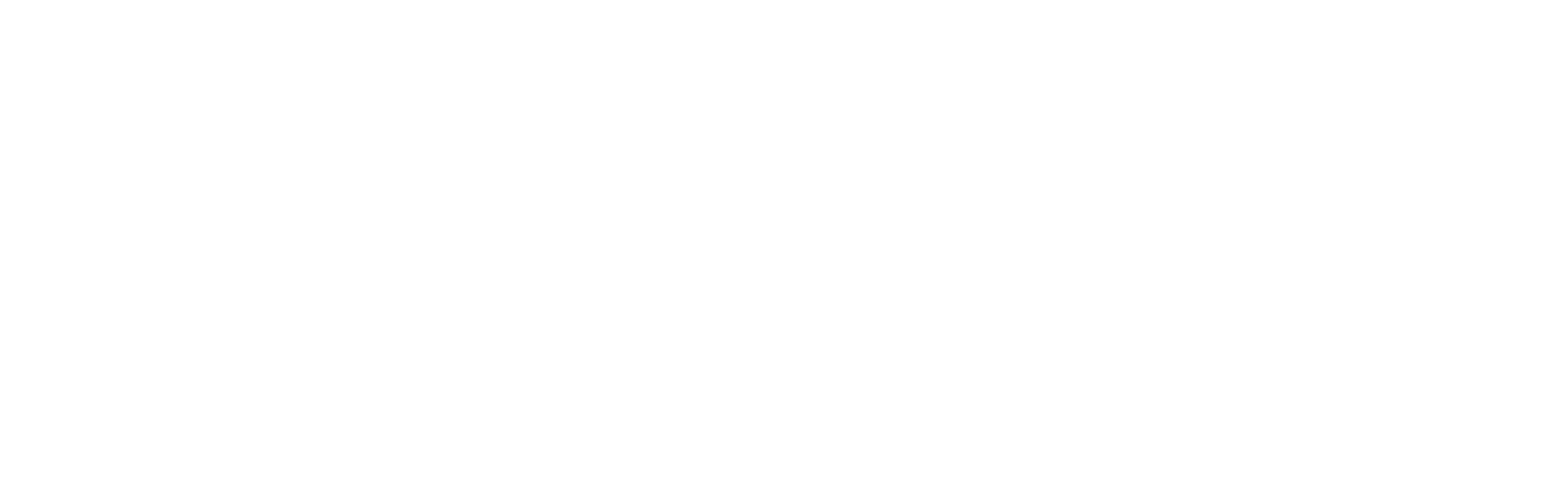 Logo Gamma Speedshop